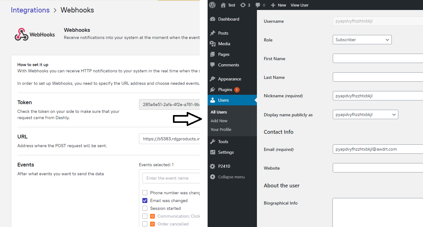 Webhook de Dashly déclenchant la création automatique de comptes WordPress – utilisateur de test généré lors de la soumission d'un email dans le chatbot.